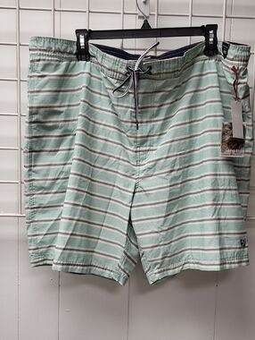 NWT, Daniel Cremieux Mint Green and White Striped Swim Shorts, 2X